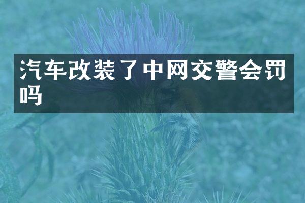 汽车改装了中网交警会罚吗