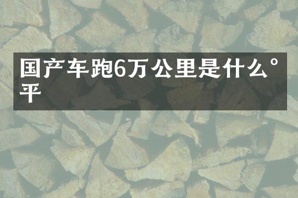 国产车跑6万公里是什么水平