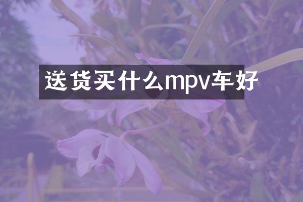 送货买什么mpv车好