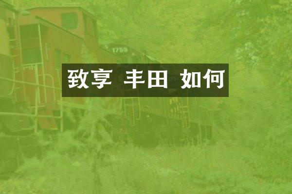 致享 丰田 如何