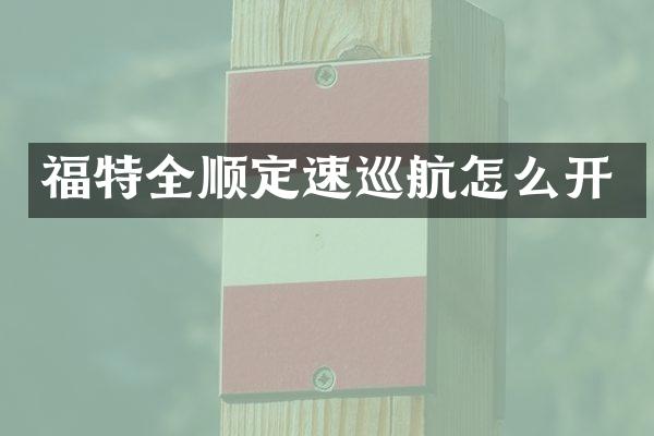福特全顺定速巡航怎么开