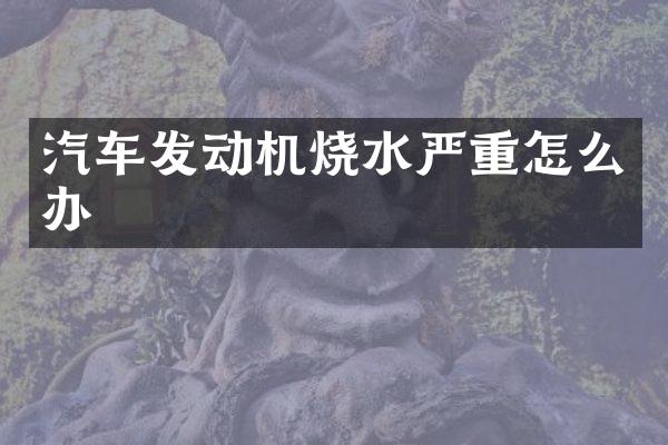 汽车发动机烧水严重怎么办