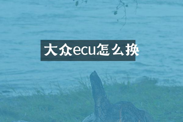 大众ecu怎么换