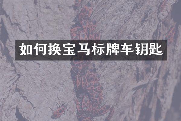 如何换宝马标牌车钥匙