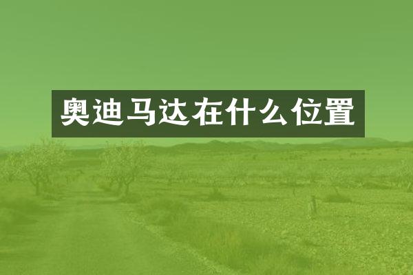 奥迪马达在什么位置