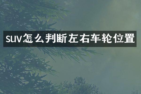 suv怎么判断左右车轮位置