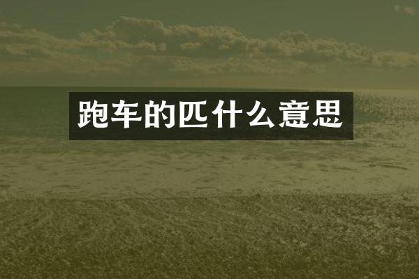 跑车的匹什么意思