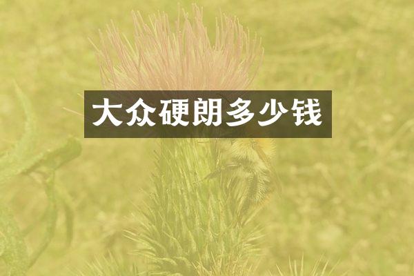 大众硬朗多少钱