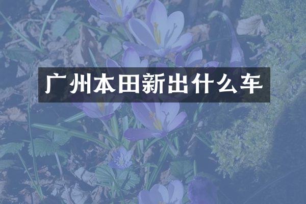 广州本田新出什么车