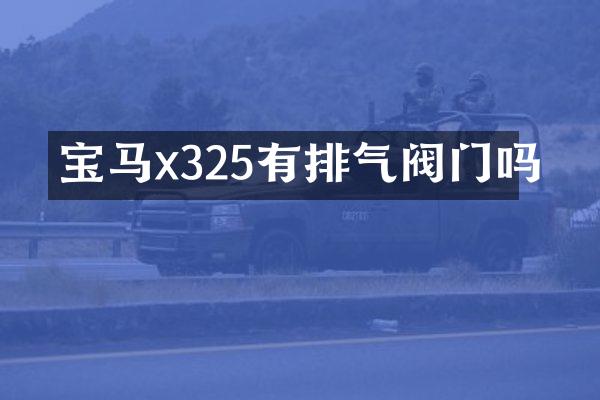 宝马x325有排气阀门吗
