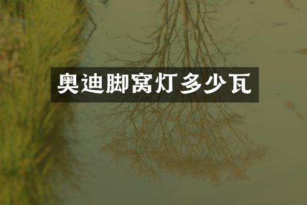 奥迪脚窝灯多少瓦