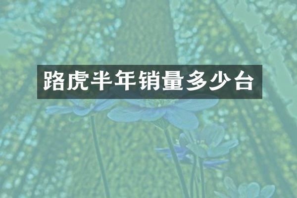 路虎半年销量多少台