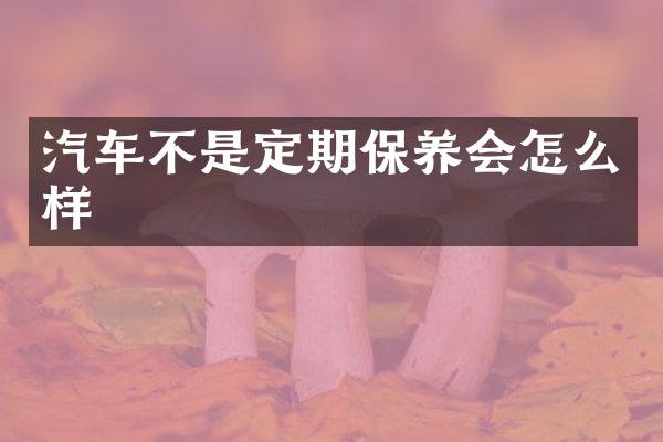 汽车不是定期保养会怎么样