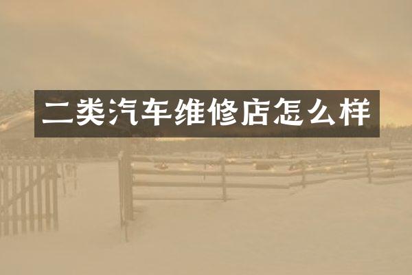 二类汽车维修店怎么样