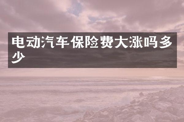 电动汽车保险费大涨吗多少