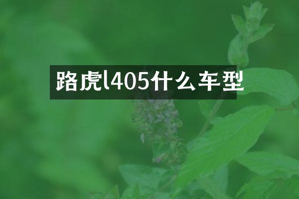 路虎l405什么车型