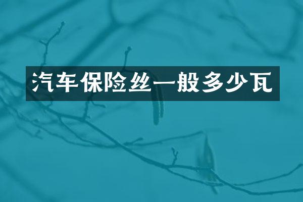 汽车保险丝一般多少瓦