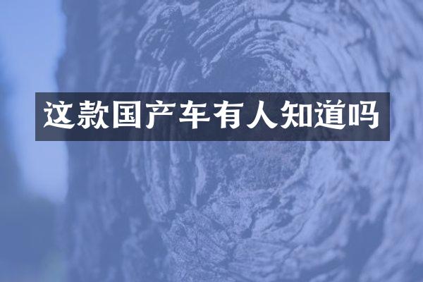 这款国产车有人知道吗