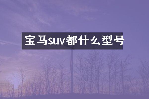 宝马suv都什么型号