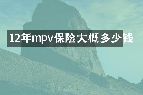 12年mpv保险大概多少钱