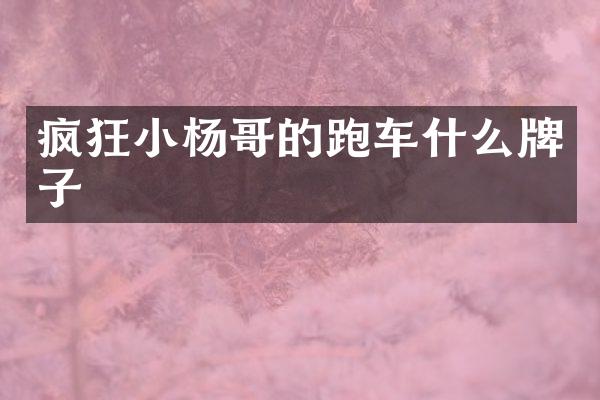 疯狂小杨哥的跑车什么牌子