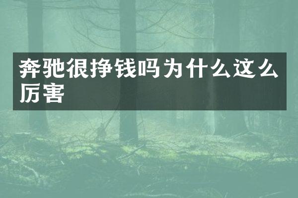 奔驰很挣钱吗为什么这么厉害
