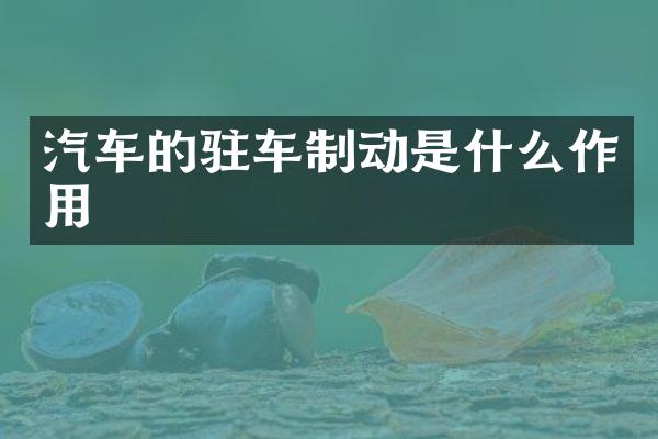 汽车的驻车制动是什么作用