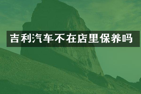 吉利汽车不在店里保养吗