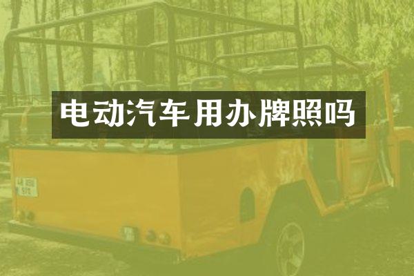 电动汽车用办牌照吗