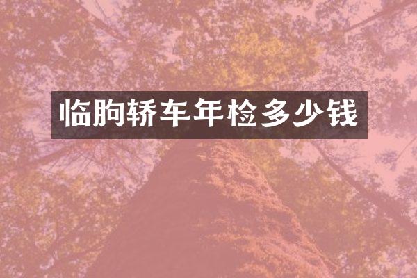 临朐轿车年检多少钱