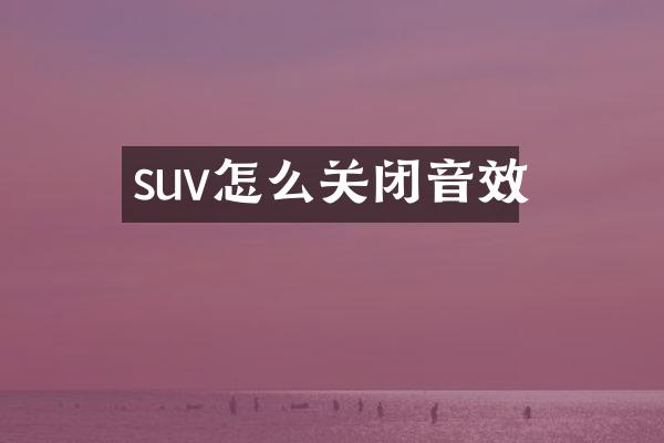 suv怎么关闭音效