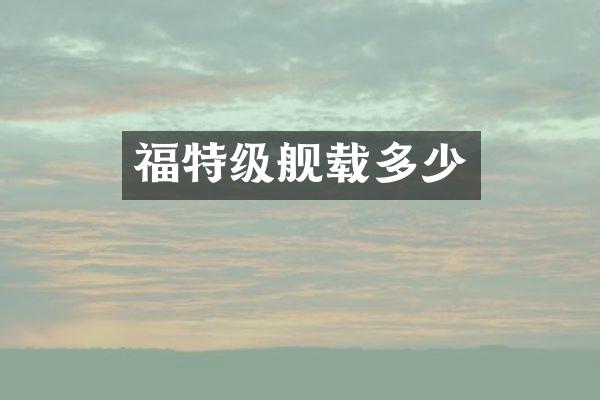 福特级舰载多少