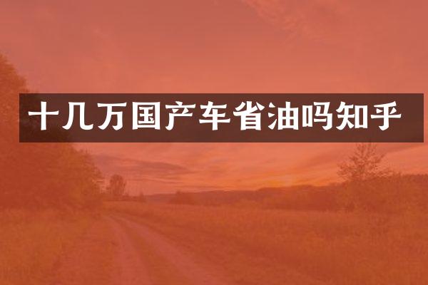 十几万国产车省油吗知乎