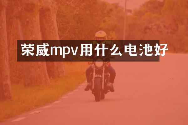 荣威mpv用什么电池好