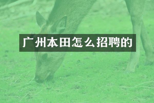 广州本田怎么招聘的