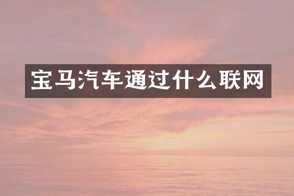 宝马汽车通过什么联网