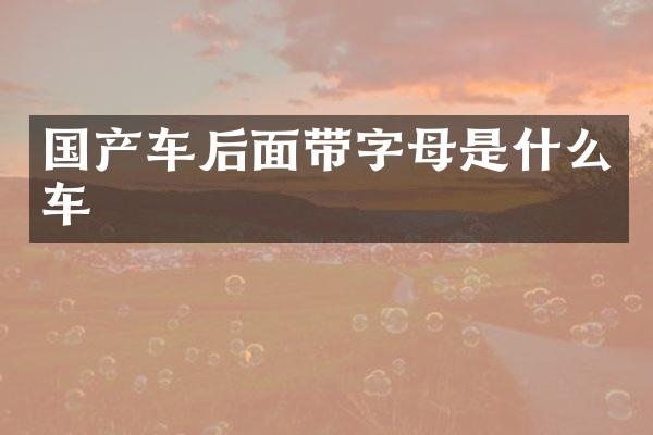 国产车后面带字母是什么车