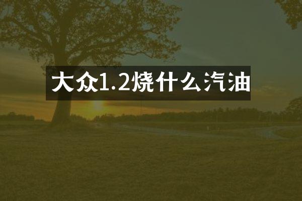 大众1.2烧什么汽油