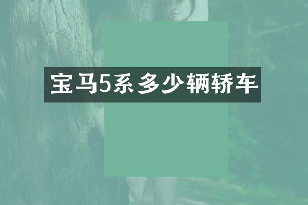 宝马5系多少辆轿车