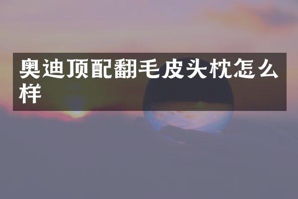 奥迪顶配翻毛皮头枕怎么样