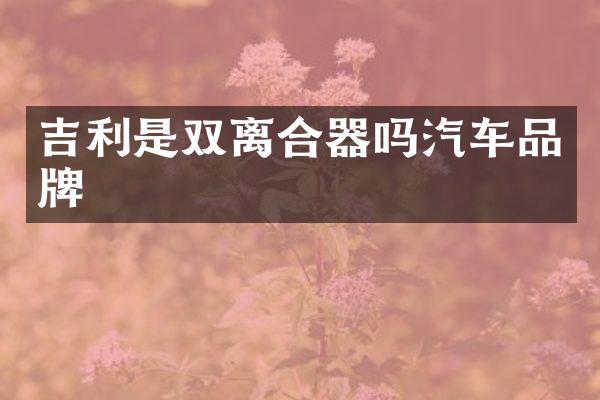 吉利是双离合器吗汽车品牌