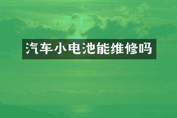 汽车小电池能维修吗