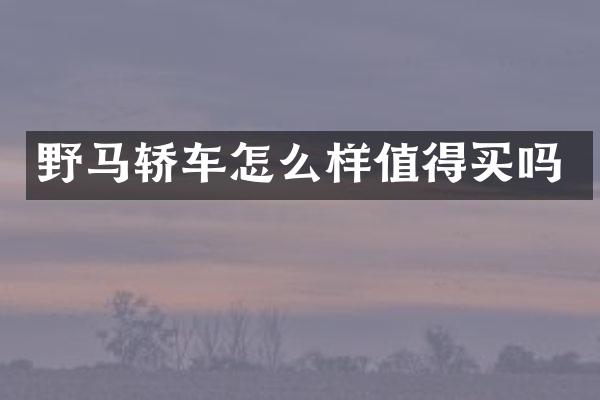 野马轿车怎么样值得买吗