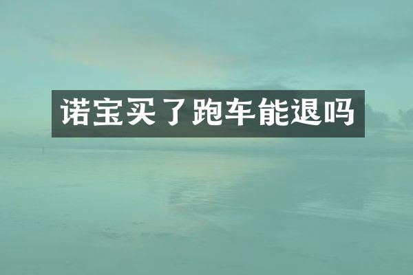 诺宝买了跑车能退吗