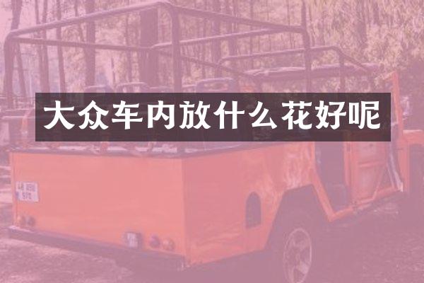大众车内放什么花好呢