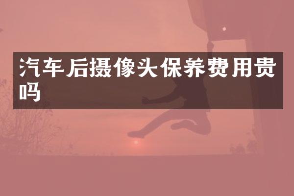 汽车后摄像头保养费用贵吗