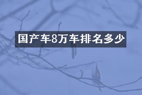 国产车8万车排名多少