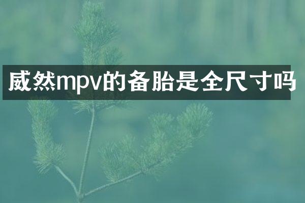 威然mpv的备胎是全尺寸吗