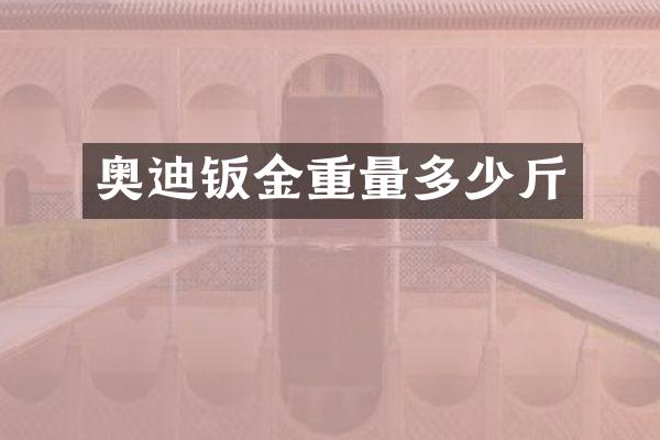 奥迪钣金重量多少斤