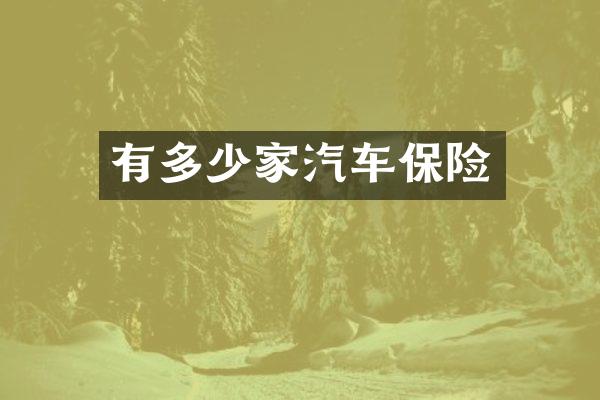 有多少家汽车保险